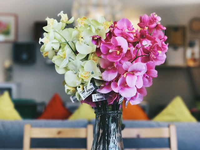 orchideje