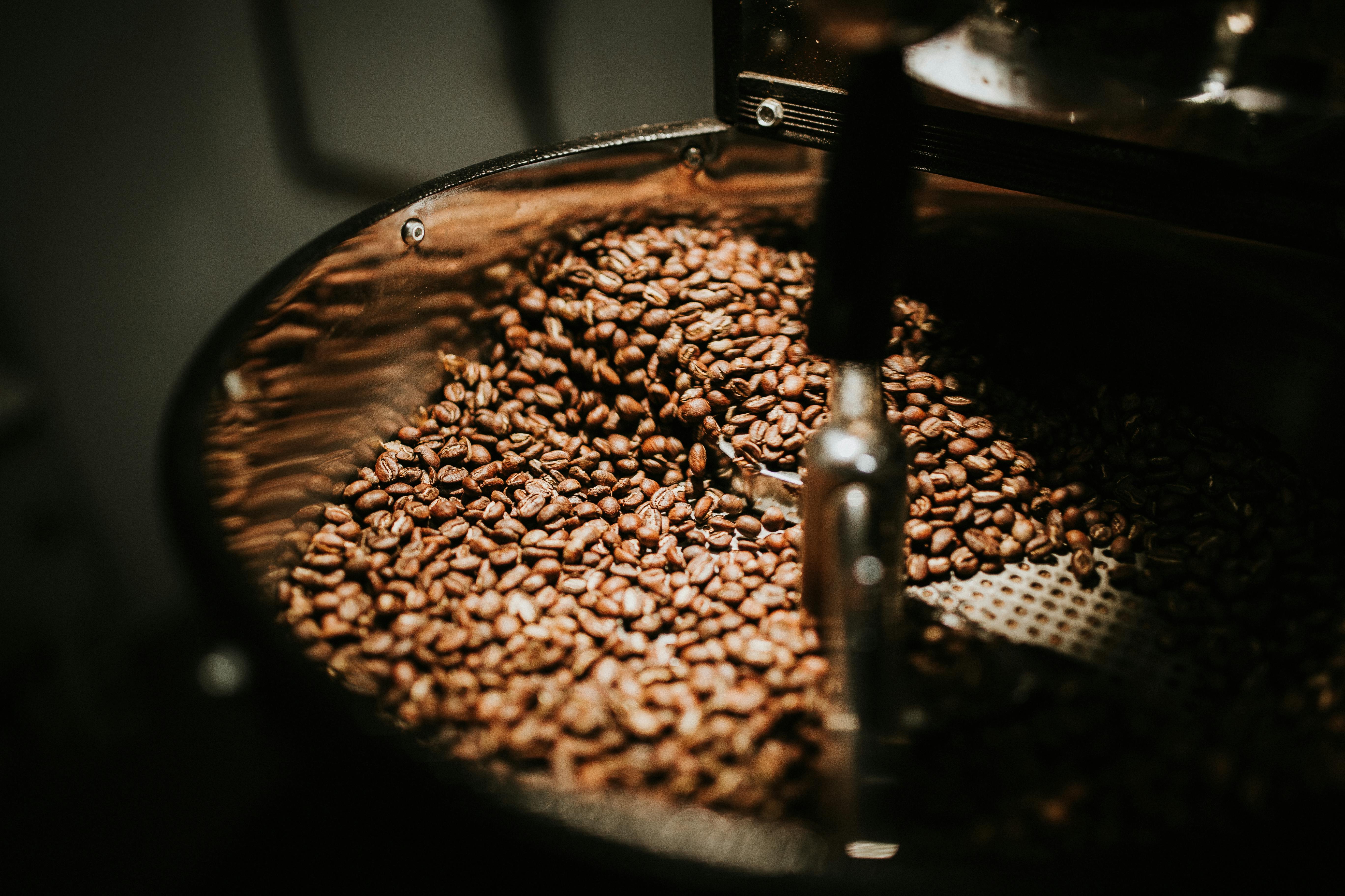 kafe